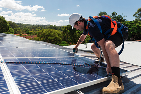 Green and Gold Solar Installation